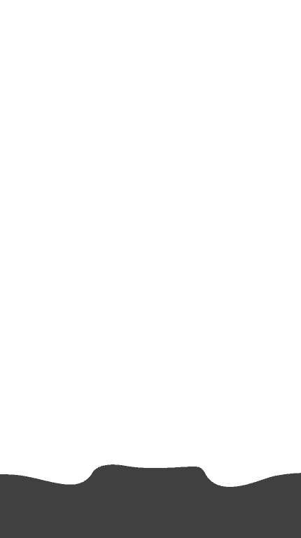 Homepage Section 1 Border