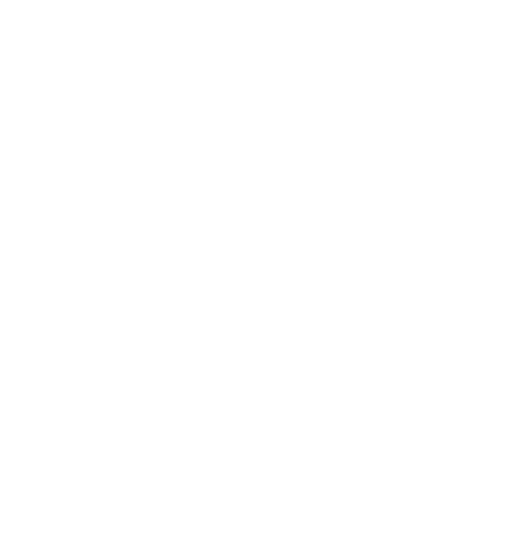Section 3 Border